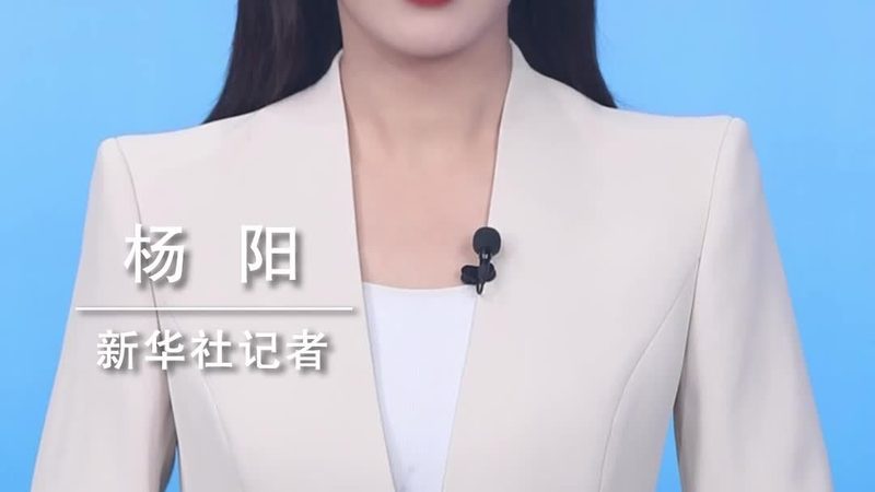 数据湖与数据仓库：架构差异解析