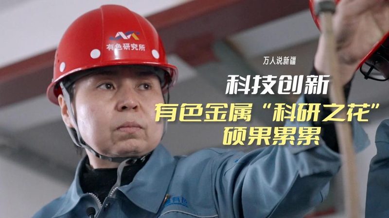 企业数字化管理平台：揭秘其优缺点与选择要点